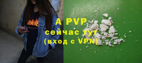 хмурый Дмитров