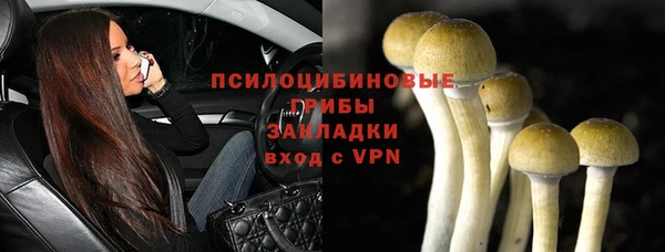таблы Дмитровск