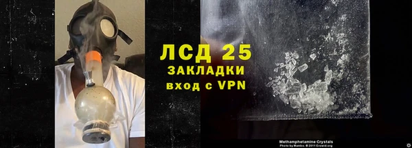 сатива Дмитриев