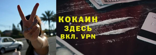 хмурый Дмитров