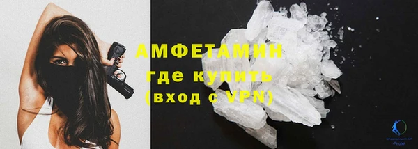 сатива Дмитриев