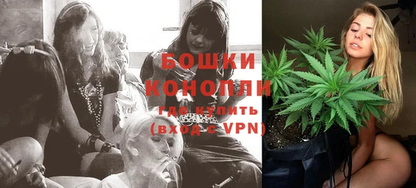 хмурый Дмитров