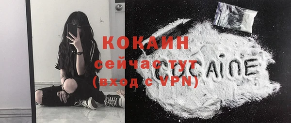 сатива Дмитриев