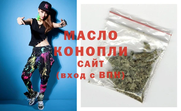хмурый Дмитров