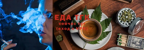 хмурый Дмитров