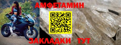 крисы Малгобек
