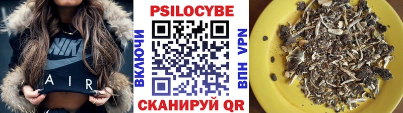 дарк нет наркотические препараты  где купить наркотик  Звенигород  Псилоцибиновые грибы Psilocybe 