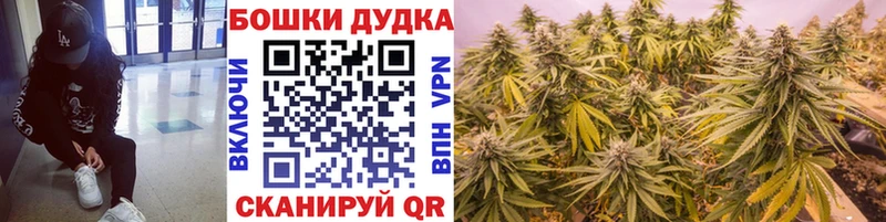 OMG tor Звенигород Бошки Шишки семена купить закладку